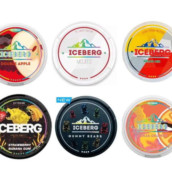 Iceberg Arasaka SNUS/NIKOTÍNOVÉ VRECÚŠKA - XMANIA Ireland 3